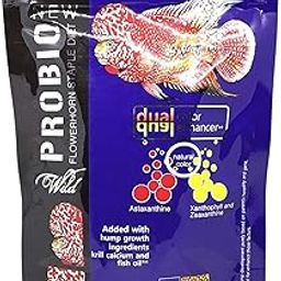 Foodie Puppies Wild Probio Flowerhorn Staple Diet Dual Color Enhancer Fish Food with Added Garlic, Spirulina Probiotic and Bacteria (100g, Large Pellet)-image-85