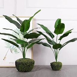 SHAKTISM Artificial Banana Plants Banana Tree Leaves with Stems Faux Artificial Plant 12 Leaves Green Leaves with Ornamental Plant for Home Office Interior Décor-Without Pot (2, Green)-image-12