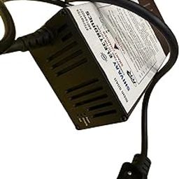 Revolt RV 400, RV400 BRZ, RV1, RV Blaze X Electric Vehicle Smart Charger-picture-6