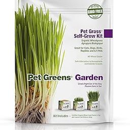 Knessin Cat Grass Kit -[5000 Seeds]-image-13