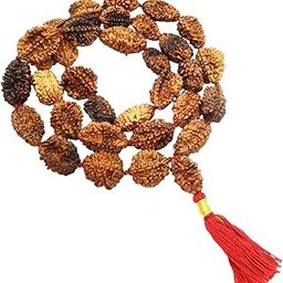 numeroastro 2 Mukhi Rudraksha Beads Kantha Mala (Big Beads) (32+1) 33 Beads (1 Pc)-52
