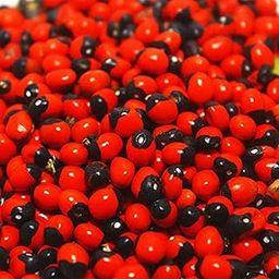 Shree Jee Organic Rakt Gunja/Chirmi/Red Gunja/lal gunja beej Seeds for Pooja (50 Grams)-image-52