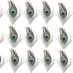 Rajmart Global 18 Pcs Small Size Cutting Mor Pankh, Real Peacock Feathers Tails for Good Luck and Craft Original Morpankh-image-94