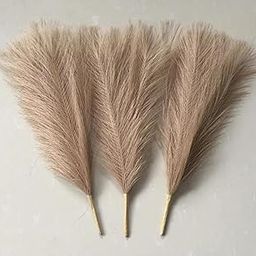 Divyakosh 3 Pcs Faux Pampas Grass (Size 41 Cms), Artificial Flowers for Decoration, Flower for Vase, Home Decor, Fake Flowers, Artificial Plants for Home Decor/Table Decor (Without Vase Pot)-image-76
