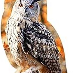 CALANDIS™ Bird Scarecrow Garden Protectors Owl Bird Deterrents for Outdoor Garden Yard-image-63
