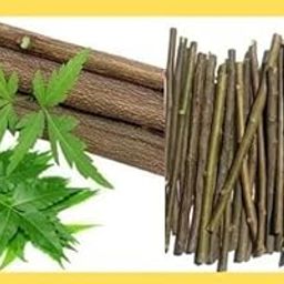 HRIM ENTERPRISE Organic Neem Datun Organic Toothbrush Nim Sticks for Brushing Teeth Removes Bad Breath, Relieve Tooth Ache, Healthy Toothpaste Pack of (Nim,80pcs)-image-33