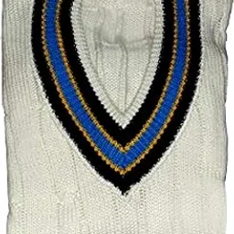 cw Sleeveless Cricket Sweater Men Stylish Winter Wear White Plain Sweater for Men (28)-picture-34