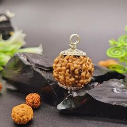 6 Mukhi Rudraksha 6 Face Rudraksha Original Certified Nepal with Capping 18mm Lord Kartikeya Six Face Rudraksha Che Mukhi Rudraksha 6 ???? ????????? ??????? 6 Mukhi Nepali Rudraksha by 9STARS-picture-56