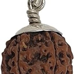 Pure Silver/Chandi 5 Mukhi Rudraksha Locket/Pendant For Men/Boys ~ 20 mm Rudraksha-picture-24