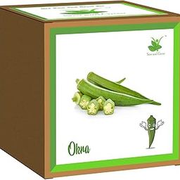 Sow and Grow Easy DIY Gardening Kit of Okra Lady Finger for Home and Garden Grow it Yourself Eco Friendly-image-43