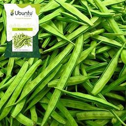 Gavar Seeds for Planting | Cluster Beans | Guar | Guvar Bean | Kitchen Garden Seeds | Hybrid Seeds | Home Garden | Terrace Balcony Indoor Outdoor Planting | Vegetable Seeds : 670 Seeds (Mahima) Season-image-78