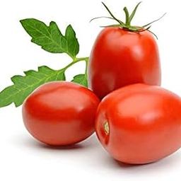 Creative Farmer Vegetable Seeds Non-Hybrid Tomato Plant Seeds - Tomato Oval Seeds Seeds For Planting Home Garden Seeds-picture-0
