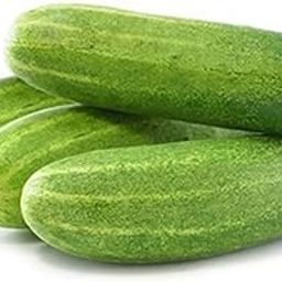 Gromax India Green Cucumber (Kheera) Organic F1 "Hybrid" Seeds, Summer Vegetable Seeds, for Home Garden, Kitchen Garden & Field-image-10