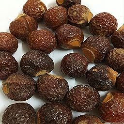 SPS MARKETING Reetha / Soapnut / Ritha / Aritha / Kunkudukai 100g-image-1
