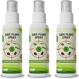 Safe Plant Spray – Natural Pesticide for Plants with Nutrients | Controls Mealybugs, Fungal Attacks & Insects | Plant Protection & Growth Booster for Home Garden (Pack of 3)-image-32