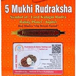 PANDIT NM SHRIMALI Certified 5 Mukhi Rudraksha/Five Faced Rudraksha Pendant Original Rudraksha Locket (Color : Brown)-image-91