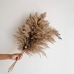 Vanchai Natural Dried Brown Pampas Grass, Tall Dried Pampas Grass Fluffy Stems, Vase Filler for Home,Office,Bedroom,Table Corner Decoration ? Set of 6-image-95