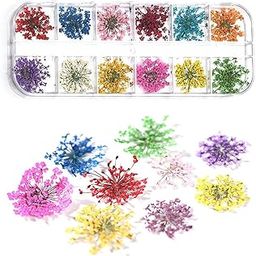 12 Patterns 3D Dry Flowers Stickers Real Dried Flower Nail Art Decoration Tips DIY Manicure Tools, Plastic-image-57
