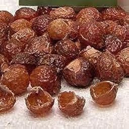 PURE REETHE CHILKE / 50GRAM / SAUPNUT WITHOUT SEED / REETHA BY GOYAM MERCHANDO-picture-30
