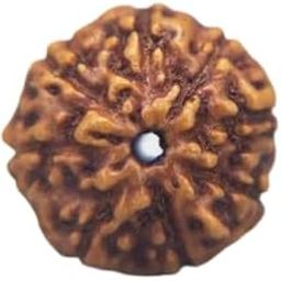 MAA Shakti GEMS 9 Mukhi Rudraksha from Nepal Superb Natural Brown Nine Face Rudraksha IGL Lab Certified Genuine नौ मुखी रुद्राक्ष for Make Pandant Mala Nau Mukhi Rudraksha-18