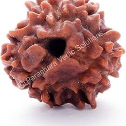 ARKAM Three Mukhi Rudraksha Certified/Original Nepali 3 Mukhi Rudraksh/Natural 3 faced Rudraksha (Brown) with Certificate and Puja Instructions-43
