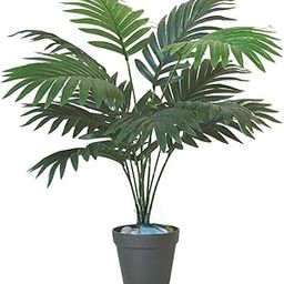 Garden Hub Artificial Areca Palm Plants | Trees for Home Decor/Living Room/Office Small/Medium Size 56cm (Without Pot, 1)-image-72
