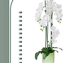 10Pcs Plant Support Stakes with 15 Pcs Plant Clips, Plant Sticks for Indoor and Outdoor Plants, Orchid Clips and Stakes,16inch Tall Bendable Single Stem Flower Stakes Bendable (Green, 16inch)-image-52