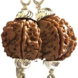 A1 Premium Gori Shankar Rudraksha गौरी शंकर रुद्राक्ष Nepali Gauri Shankar Rudraksha Pendant Shiv Parvati Rudraksha Gaurishankar Rudraksha Original Certified Shiv Shakti Locket For Wear-27
