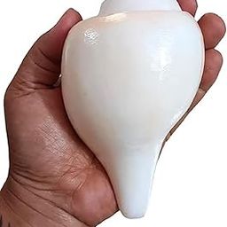Premium Left-Handed Conch Shell | Vamavarthi Shankh for Auspicious Pooja - 350 grm, 6 Inch (Size Guarantee - Quality Matters)-image-59