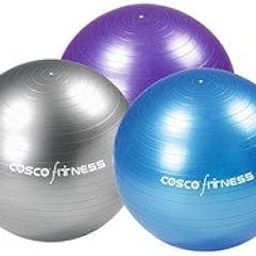 Cosco GYM BALL (65 cm)-image-79