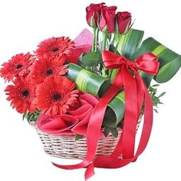IFG's Beautiful Basket Arrangement of Red Gerberas and Roses, 10 pcs Fresh Flowers - Same Day Delivery-image-29