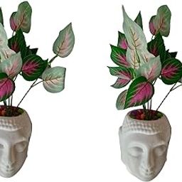 MoneyPB2015 Artificial Money Plant with Buddha Pot Pack of 2 PCS Pack of 2 PCS-image-39