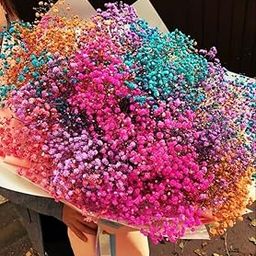 CLOUD INDIA Decorative Baby Breaths Naturally Dried Flower for Vase Filler for Home Dcor|Indoor |Office Dcor (Multicolor, 50 Stem)-image-96