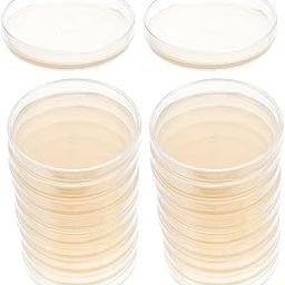 Lab Market (10 pcs) Nutrient Agar Plate For Laboratory, Use of :- Culture Media, Microbiology Lab, Mushroom Culture Etc. Allready Prepoured, Save Time ! Big Size (90mm) Petri Dish-image-44