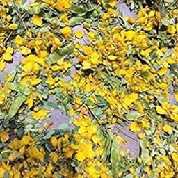 Dried Avarampoo Flower/Aavartaki/Tarwarm Raw, 50 Grams-image-58