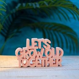 NUKKAD TALES Lets Grow Old Together Peach Showpiece Home Decor Items for Bedroom Birthday Gift Items for Couples (8 x 4.50 inch), Recycled Material/MDF-image-54