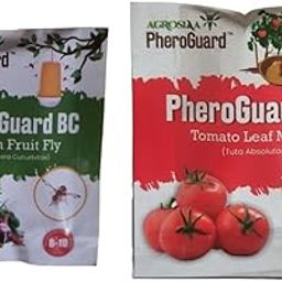 Agrosiaa PheroGuard BC Bactrocera Cucurbitae Lure | Melon Fruit Fly Control for Agriculture Pack of 20 | & | TA Tuta Absoluta Lure | Tomato Leaf Miner Control for Agriculture | Pack of 20-image-60