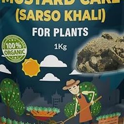 Organic Gardening Mustard Oil Cake (Sarso Khali) Organic Essential Fertilizer for Home Garden, Potting Plant Growth & Healthy Root Nutrient (1 KG)-image-85