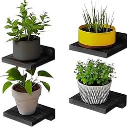 IS DECORATE Engineered Wood Set of 4 Floating Shelves for Wall Decor Wall Shelf Storage Organizer | Mini Display Shelf for Living Room, Bathroom, Kitchen & Bedroom Décor (Black)-image-40