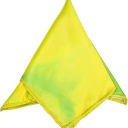Men's Lemon Pocket Square-picture-38
