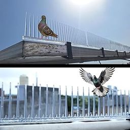 Seagullstopper Solar Panel Anti Bird Spike Universal Clip to fit with Any Size of Solar Panel Option Made by Polycarbonate Materials Transparent Size 1 feet Set of (Solar Panel Peck of 5 Piece)-image-32