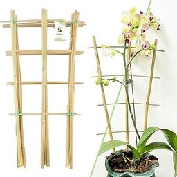 16Inch 5Pack Bamboo Trellis for Climbing Plants, Garden Ladder Trellis for Potted Plants Indoor, Fan Shaped Small Plant Support Trellis for HousePlants Ivy Vine Monstera 3-4-image-4