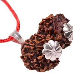 Gauri Shankar Nepal Rudraksha Original Certified By igl Lab गौरी शंकर रुद्राक्ष Original Nepal Super Deluxe Round Shiv Parvati Beads Best Rudraksh Pendant For Women & Men Gori Shankar-image-5
