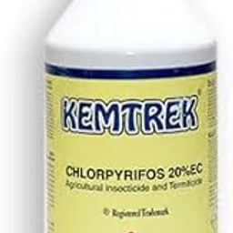 Sumitomo Chemical India I Chlorpyrifos 20% EC 500 ML | Controls Termites, Borers & Prodenia In Buildings & Soil-image-33