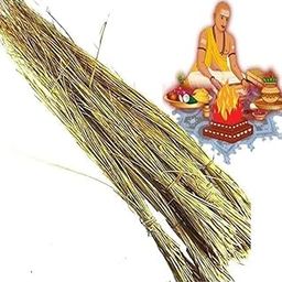 DADFirm Kusha Grass Dry or Darbha Grass for puja Karma, hawan yagyan/Pooja Home Temple Folded by12 inch Long 250 grm-image-65