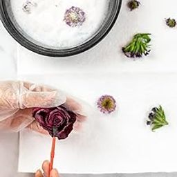 Elysian Flower Drying Silica Gel Powder DIY with Dry Flowers, Art and Craft, Resin Art and Home Decor Made White Colour Silica Gel Powder 5 KG-image-60
