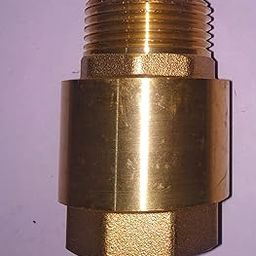 AMAZOR 1 inch Vertical Stainless Steel Check Valve Male to Female-image-84