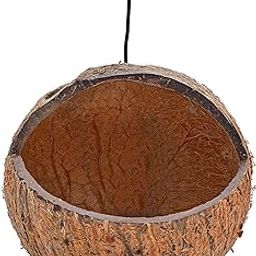NALLA Coconut Shell Birds Nest House Single Hole for Small Birds, 80gm-picture-13