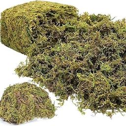 Natural Dried Moss Grass Preserved For Pots With The Nice Green Appearance For Home and Garden - 450 Grams-image-22