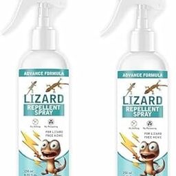 LEINUOSEN Lizard Repellent for Home Spray | Plant Oil Based | Non-Toxic, Baby & Pet Safe | Herbal Pest Control Solution | Pack of 2 (250 ML)-image-54